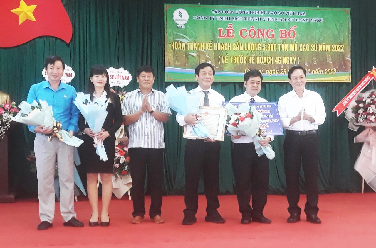 Cao su Mang Yang khai thác sản lượng về đích trước 46 ngày